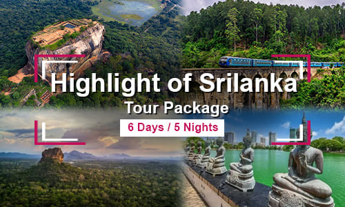 Highlight of Srilanka Tour Package